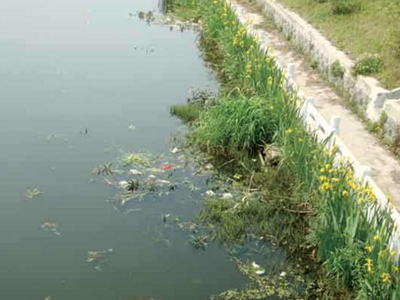 深圳水質檢測機構 深圳水質檢測機構